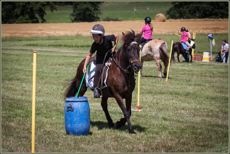 Mounted Games 252